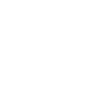 4024 03 Logo SamenStralen Wit 2