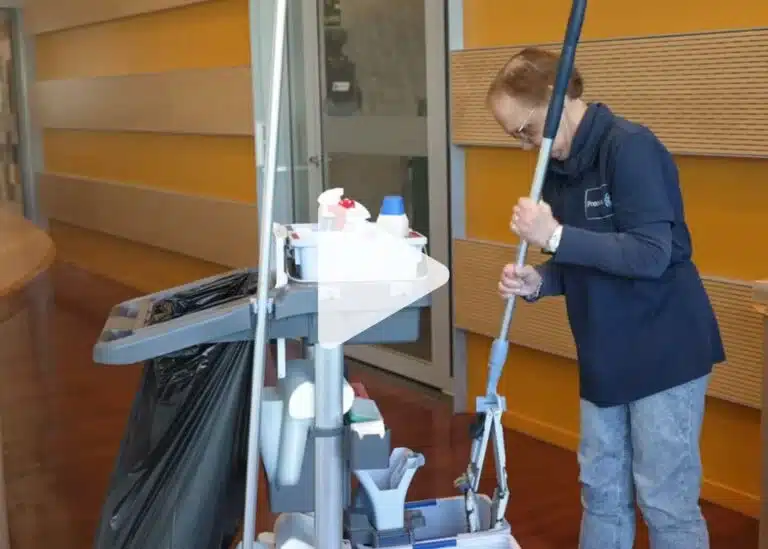 Promen Schoonmaak Video 768x549 1